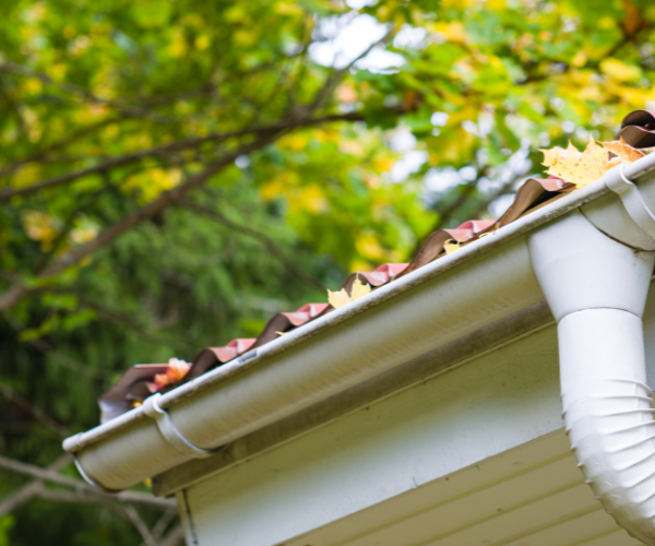 Gutter With Dry Leaves Is A Fire Hazard